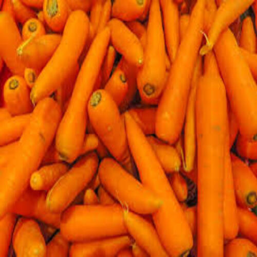 High Fibre Healthy Natural Delcious Taste Fresh Carrot