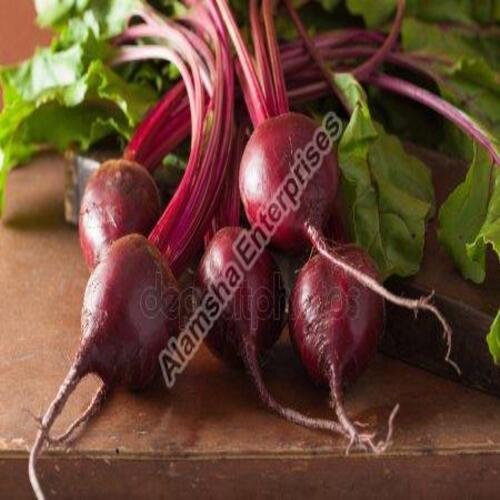 Mild Flavor Natural Rich Taste Healthy Organic Red Fresh Beetroot Shelf Life: 5-10 Days