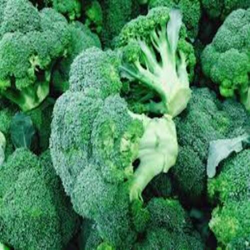 Rich Natural Taste Healthy To Eat Green Fresh Broccoli