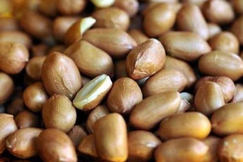 Bold And Dark Pink Ground Nut Seed Cooking, Medicinal