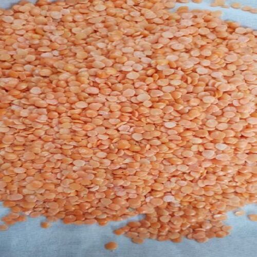 Easy To Cook Rich In Protein Natural Taste Dried Red Masoor Dal Grain Size: Standard