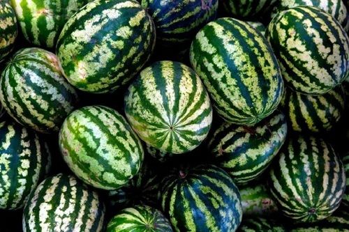 Green A Grade Round Shape Organic Fresh Sweet And Juicy Watermelon, 50% Maturity Origin: India