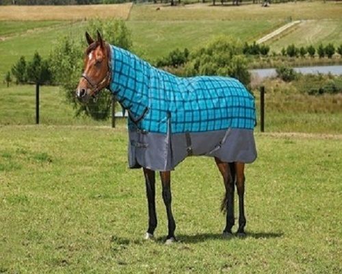 2 Belly Polyester Weight Turnout Horse Rug With Polyester Filling Lining For Winter Weather