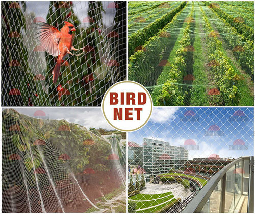 Flexible Outdoor Recyclable Virgin UV Stabilized HDPE Monofilament Anti Bird Net