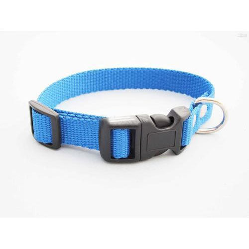 Light Weight And Skin Friendly Blue Color Nylon Dog Collar With Black Color Plastic Buckle