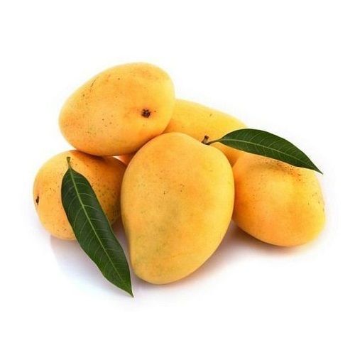 Natural Yellow Kesar Mangoes Fruits With Unique Taste And Rich In Smooth Pulp