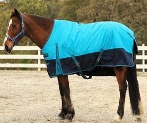 Plain Design 2 Belly Polyester Kanpur Horse Rug With Nylon Lining For Summer Weather