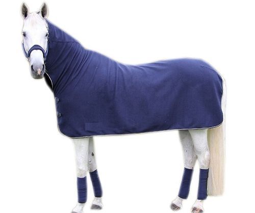 Plain Design And Blue Color 2 Belly Polyester Economic Neck Horse Rug For Spring And Autumn Weather