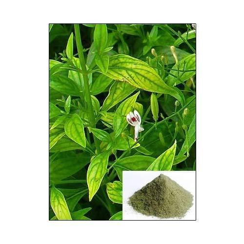 Andrographaloids 10%-50% Andrographis Extract Powder