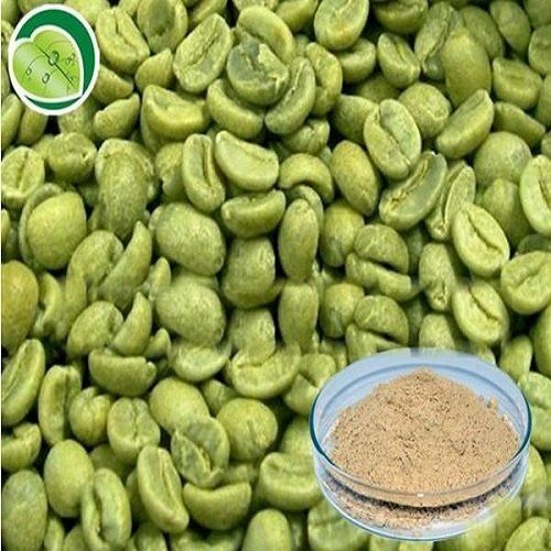 Chlorogenic Acid 45%-50% Green Coffee Bean Extract Powder