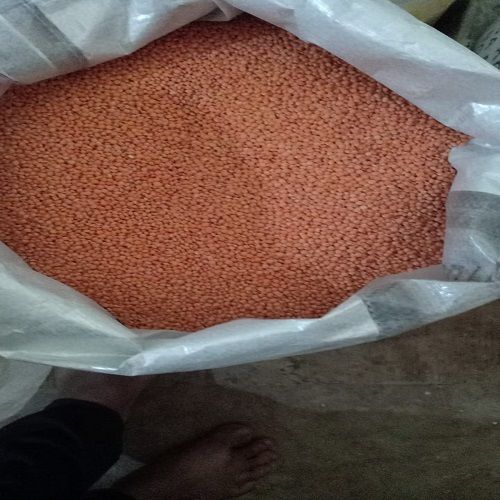 Fresh And Nutritious Orange Masoor Dal Rich Fiber