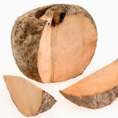 Maturity 100 Percent Rich Natural Taste Healthy Brown Organic Fresh Big Yam