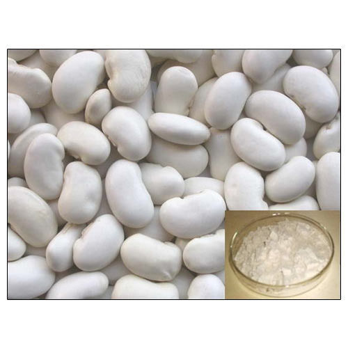 White Kidney Beans Extract Powder