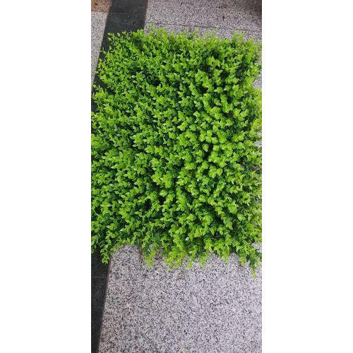 Chemical Resistant Impeccable Finish And Light Weight Pp Residential Washable Green Artificial Grass