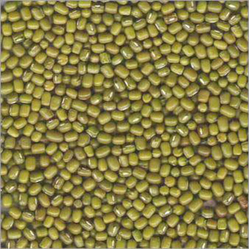 Natural Taste Rich Protein Dried Organic Green Moong Beans