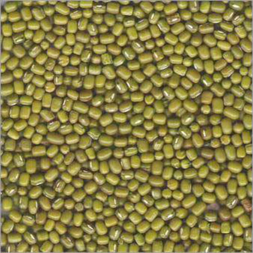 Natural Taste Rich Protein Dried Organic Green Moong Beans Grain Size: Standard