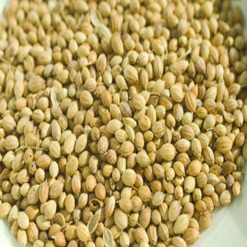Purity 98 Percent Gluten Free Natural Rich Taste Dried Organic Coriander Seeds