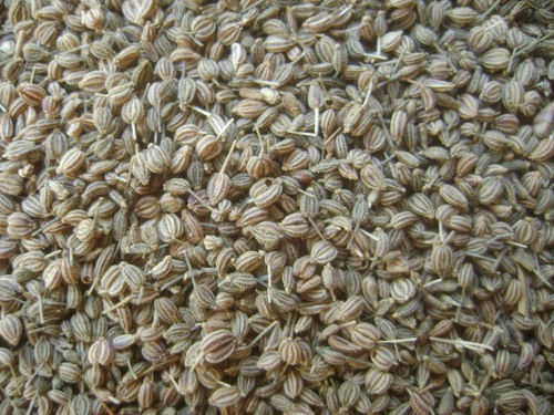 Purity 99.95 Percent No Artificial Color Rich Natural Taste Healthy Dried Brown Ajwain Seeds Moisture (%): 5-10%