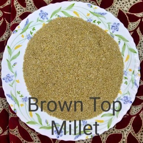 Glucose Gluten Free Easy To Cook Natural Brown Top Millet With Artificial Color And No Preservatives