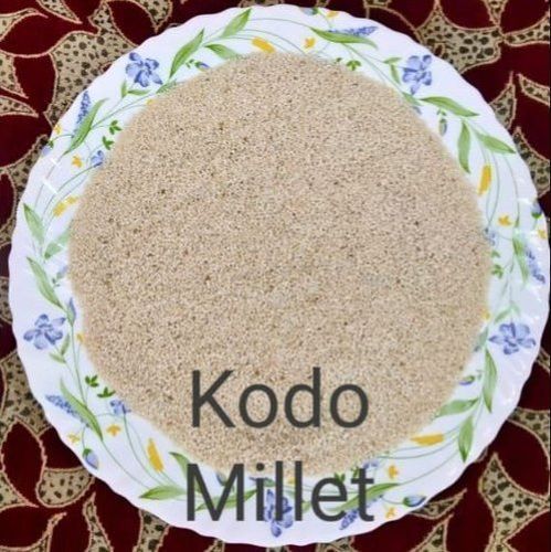 Common High In Protein Natural Taste Brown Organic Tasty Kodo Millet With Gluten Free