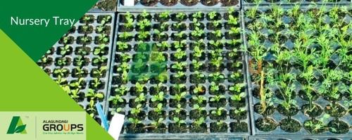 Nursery Seedling Trays For Germination Of All Kinds Of Plants
