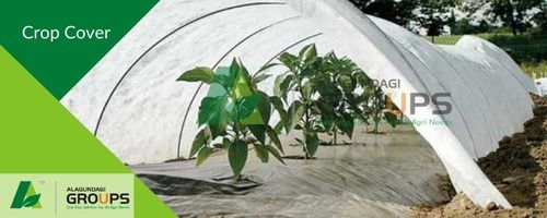 White Crop Cover Suitable For Fruits, Vegetable Prevents Soil Erosion