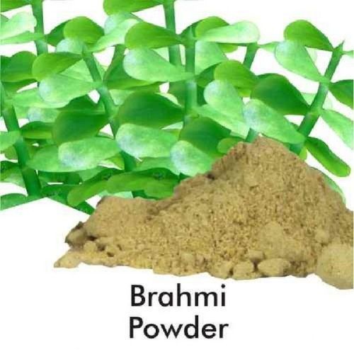 Dried Brahmi (Bacopa Monnieri) Powder Age Group: For Adults