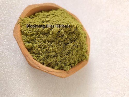 Highly Effective Green Moringa Powder