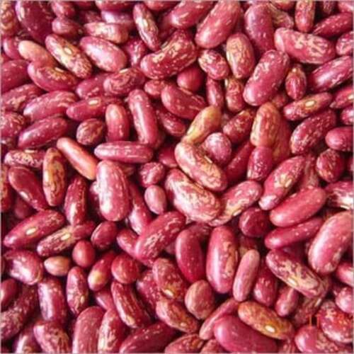 Magnesium 49 Percent Rich Natural Taste Healthy Red Speckled Kidney Beans