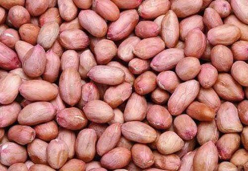 100% Dried Organic And Nutritious Groundnut Seeds