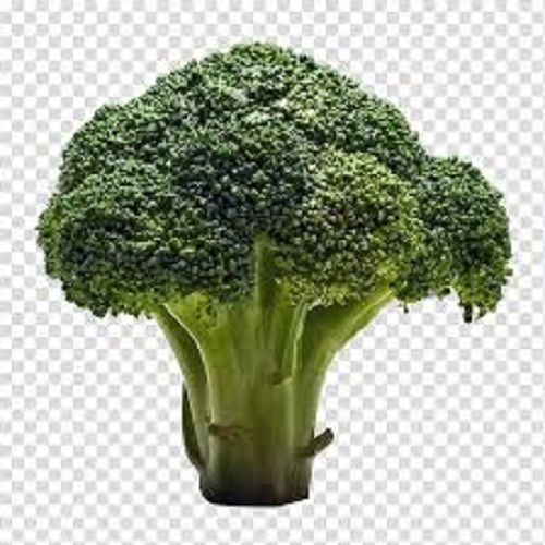 100% Pure And Organic Farm Fresh Green Broccoli For Cooking Moisture (%): 82.87%