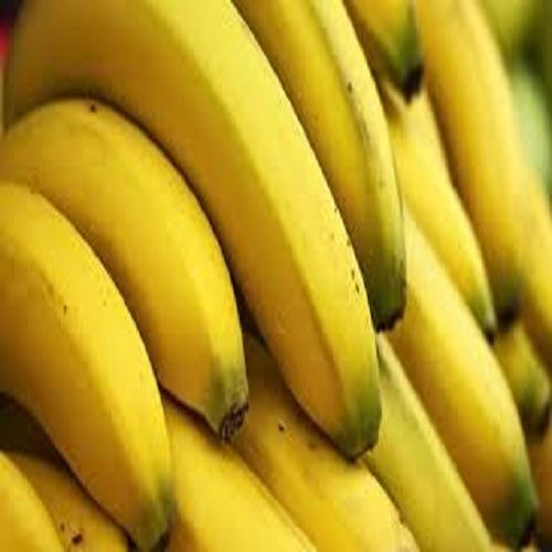 A Grade Fresh And Healthy Sweet Yellow Banana, 7 to 9 Inch Size