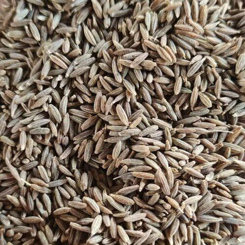 Aromatic Healthy Natural Rich Taste Dried Organic Brown Europe Cumin Seeds
