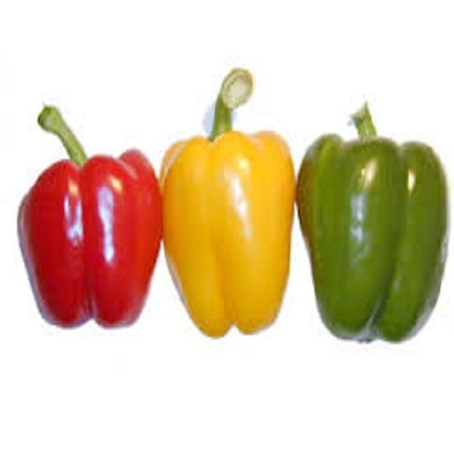 Red Capsicum In Kolkata, West Bengal At Best Price  Red Capsicum  Manufacturers, Suppliers In Calcutta