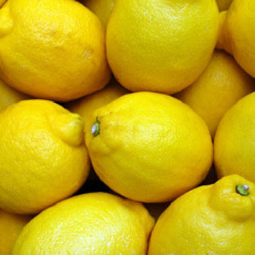 Round & Oval Easy To Digest Sour Natural Taste Healthy Organic Yellow Fresh Lemon