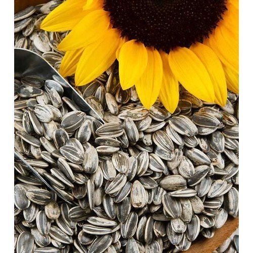 Purity 99.9 Percent Rich Natural Taste Healthy Dried Organic Black Sunflower Seeds