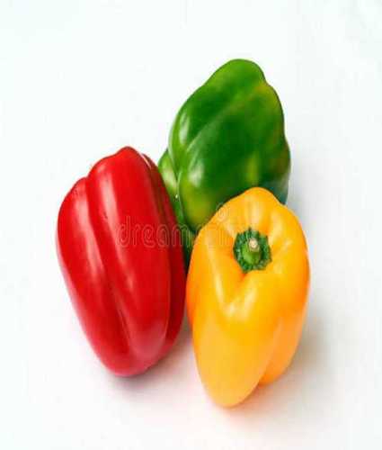 Capsicum Seed