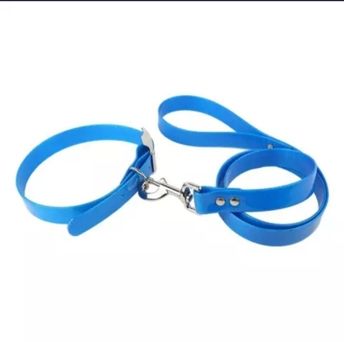 Available In Various Colors Water Proof Glossy Look Dog Belts