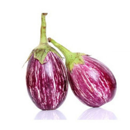 Delcious Natural Healthy Rich Taste Organic Purple Fresh Brinjal