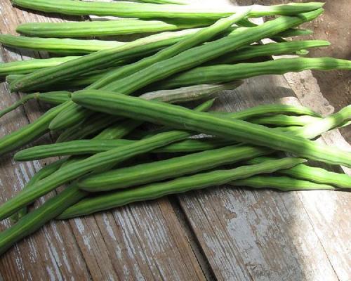 Floury Texture Healthy Natural Rich Taste Green Fresh Drumsticks