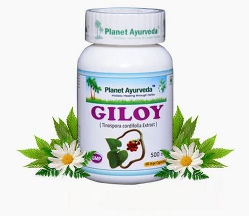 Herbal Giloy (Tinospora Cordifolia) Capsules