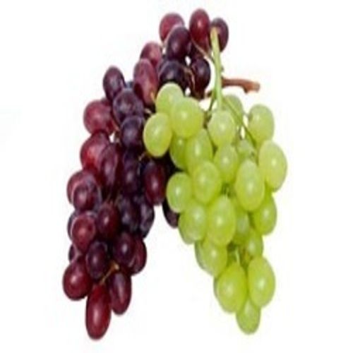 Juicy Rich Delicious Natural Taste Healthy Organic Fresh Grapes