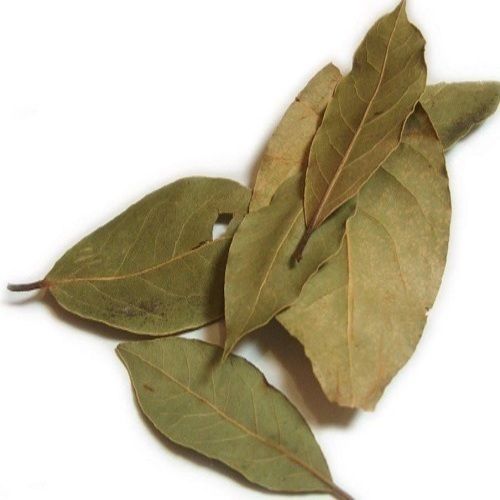 Leaf Rich Natural Aromatic Taste Healthy Green Dried Bay Leaves