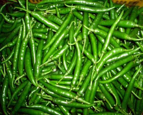 Spicy Natural Taste Rich In Color Fresh Green Chilli
