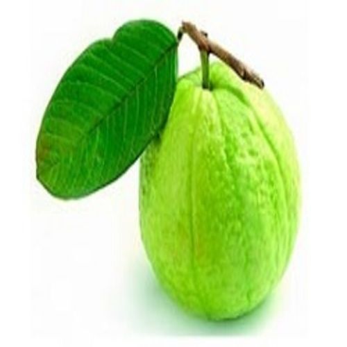 Sweet Delicious Rich Natural Taste Healthy Organic Fresh Guava