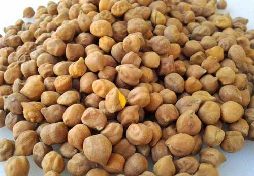 Wholesale Price Export Quality Top Grade Dried And Cleaned Whole Bengal Black Gram