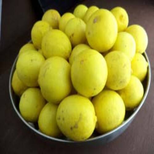 Round & Oval Easy To Digest Sour Natural Taste Healthy Organic Yellow Fresh Lemon