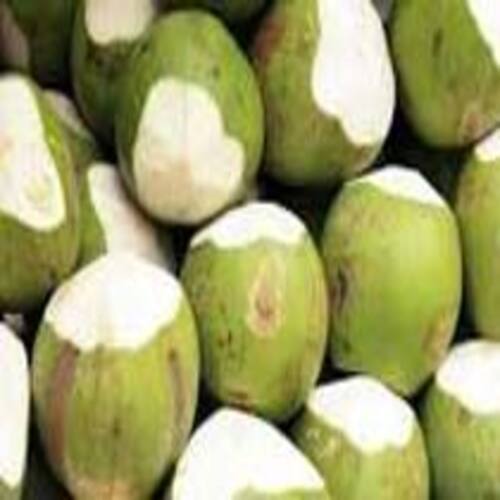 Free From Impurities Natural Taste Healthy Organic Green Fresh Coconut Size: Standard