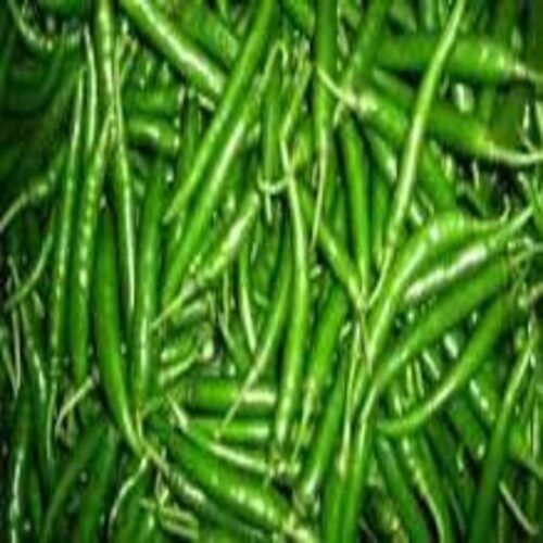 Hygienically Packed Spicy Natural Taste Organic Fresh Green Chilli