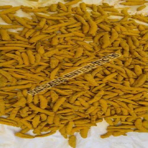 Broken Seed 5 Percent Rich Natural Taste Healthy Dried Yellow Baba 777 Turmeric Finger